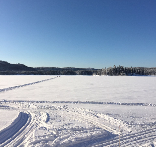 Cross-training is important if you have to handle a running injury. XC skiing is a great option.