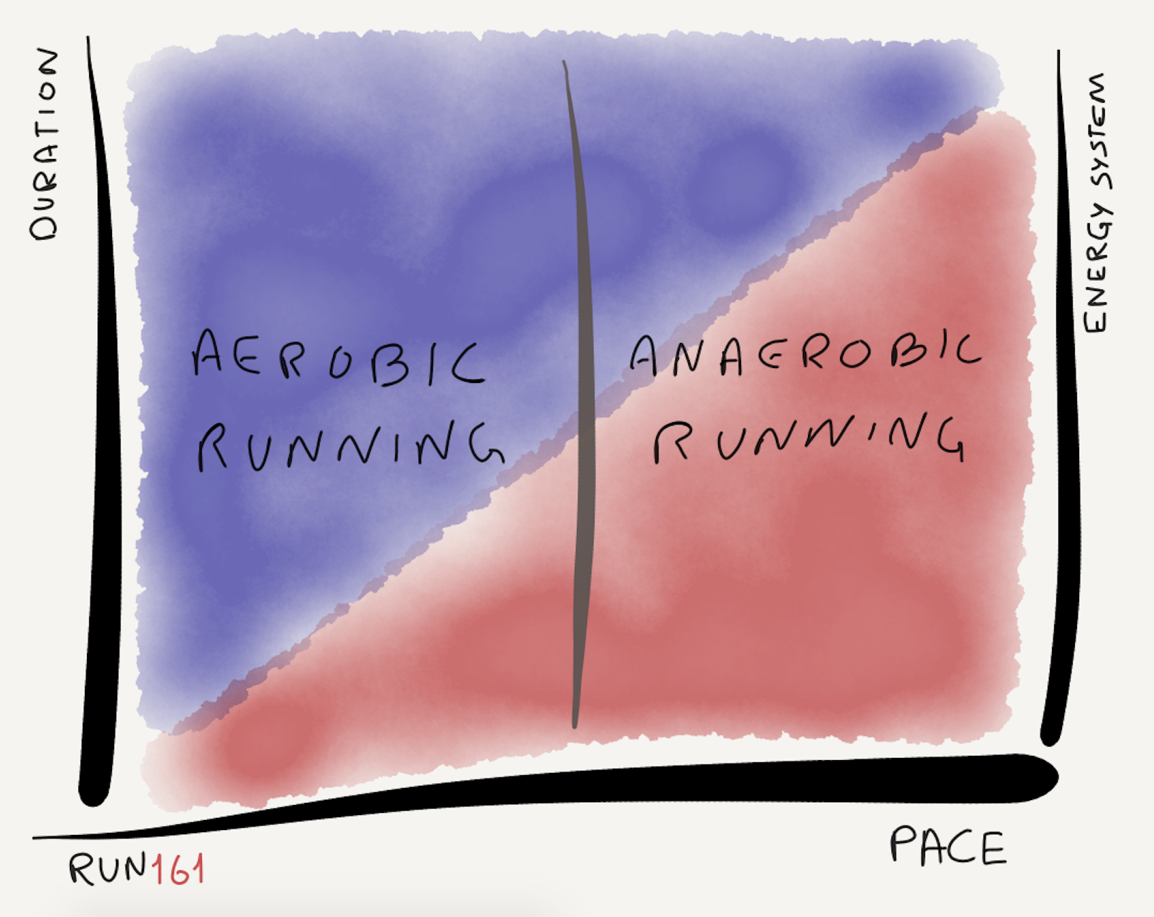 Aerobic Running Improves Your Engine and Makes You Faster Run161