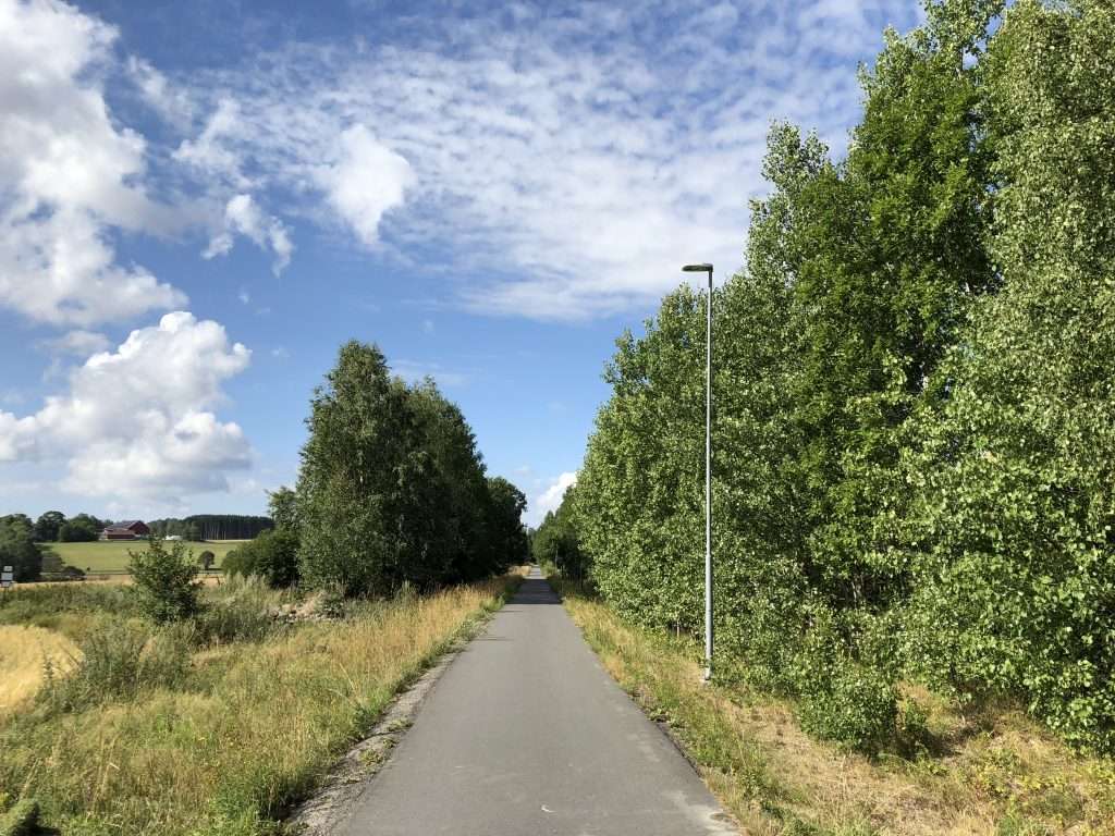 Running path through fields and trees.