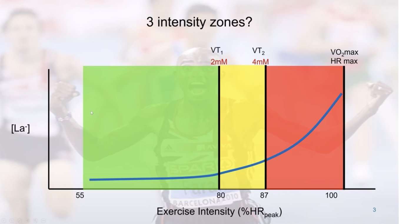 Moderate Running Builds Endurance and Strength – Run161