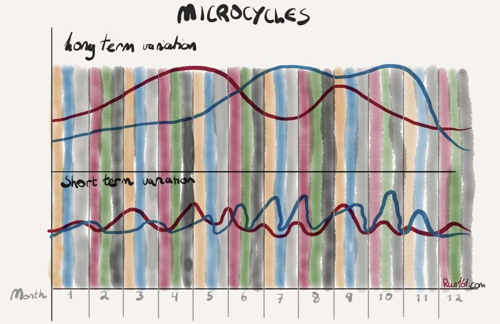 Illustration of microcycles