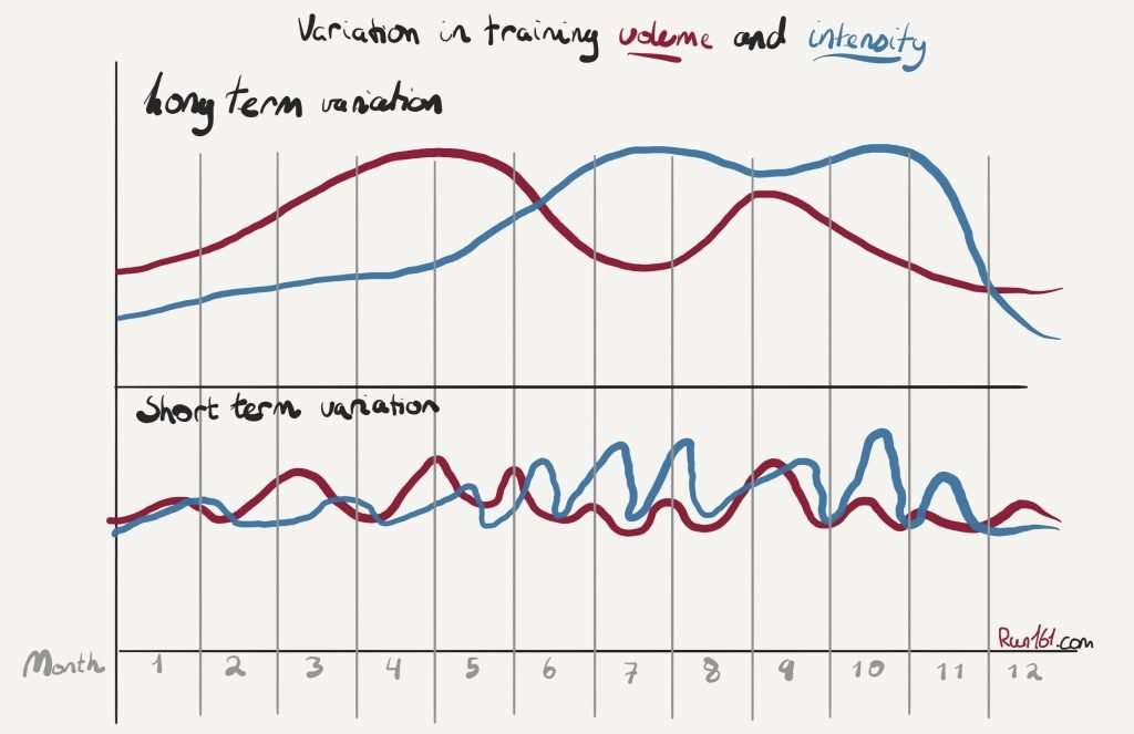 Running Training Periodisation model based on Matwiejew’s model for sports periodisation