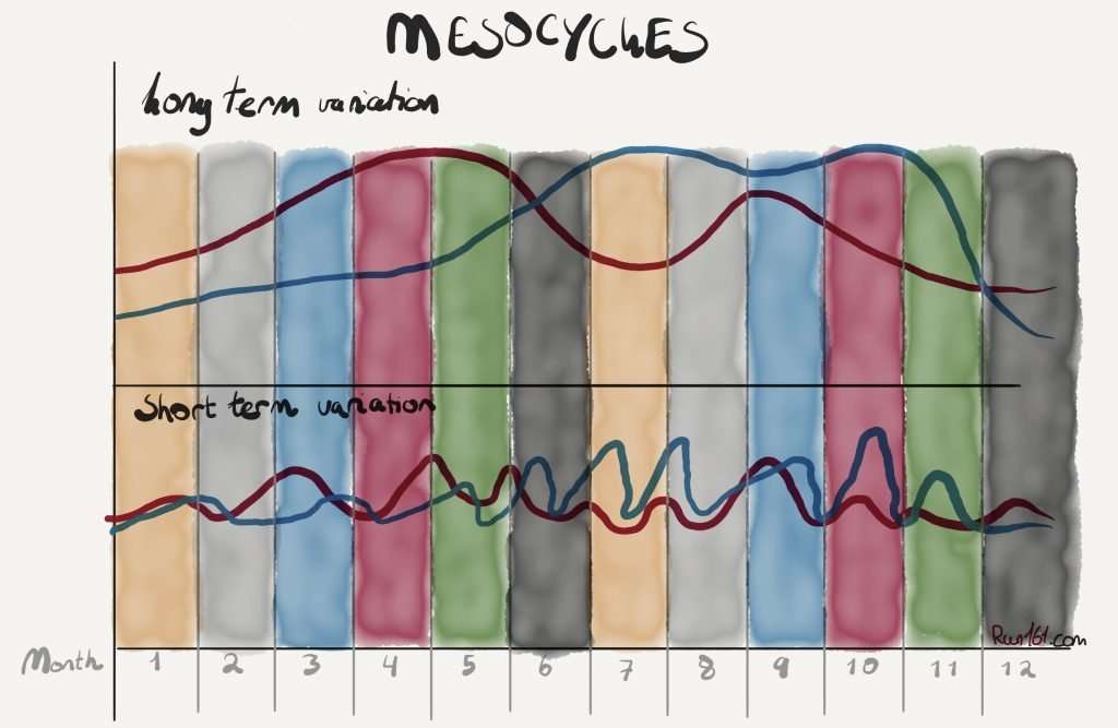 Illustration of a mesocycle in running training periodisation