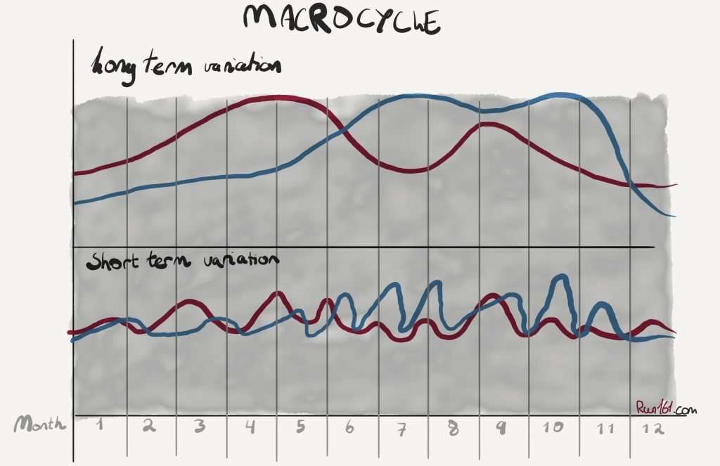 Illustration of a training macrocycle