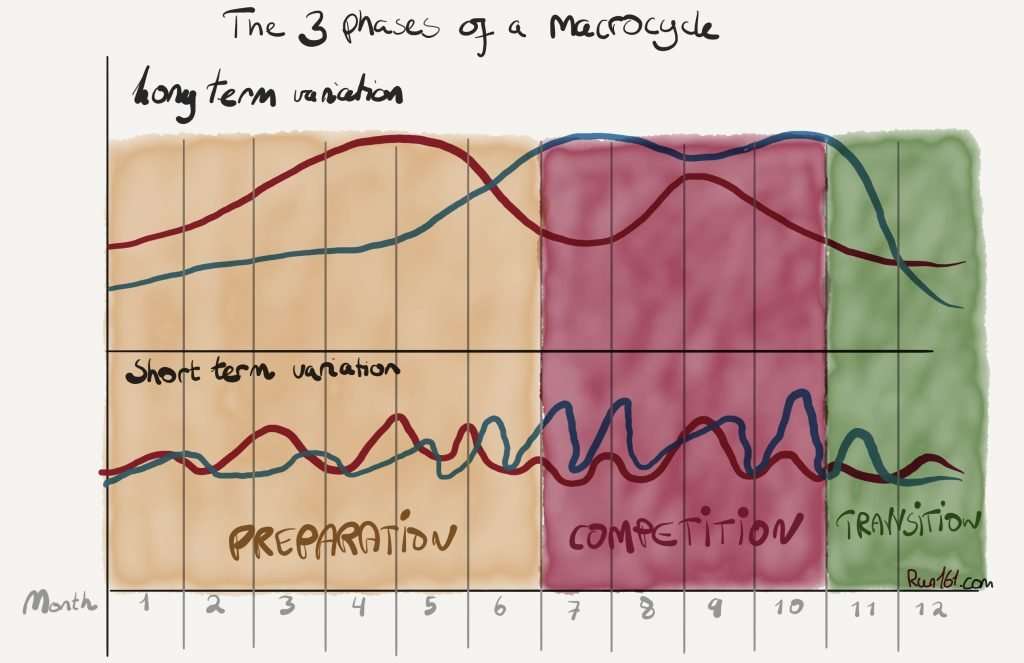 The three phases of a macrocycle illustrated.